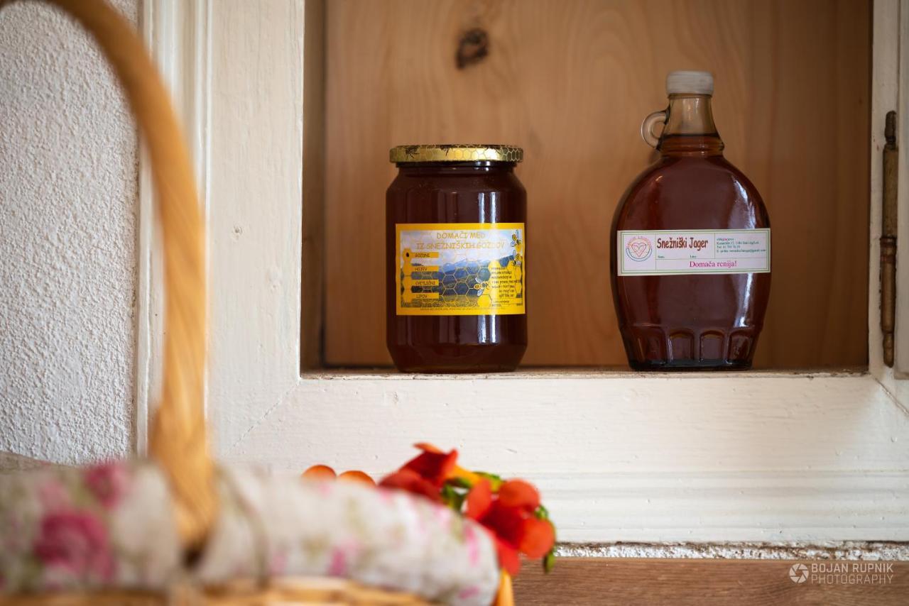 Cherry House - Cosy House - Ideal For Bear Watching, In The Neighborhood Of The Medieval Sneznik Castle Stari Trg pri Lozu Luaran gambar