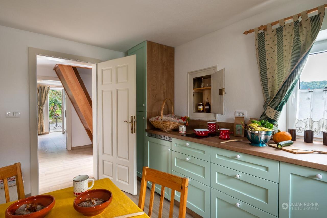 Cherry House - Cosy House - Ideal For Bear Watching, In The Neighborhood Of The Medieval Sneznik Castle Stari Trg pri Lozu Luaran gambar