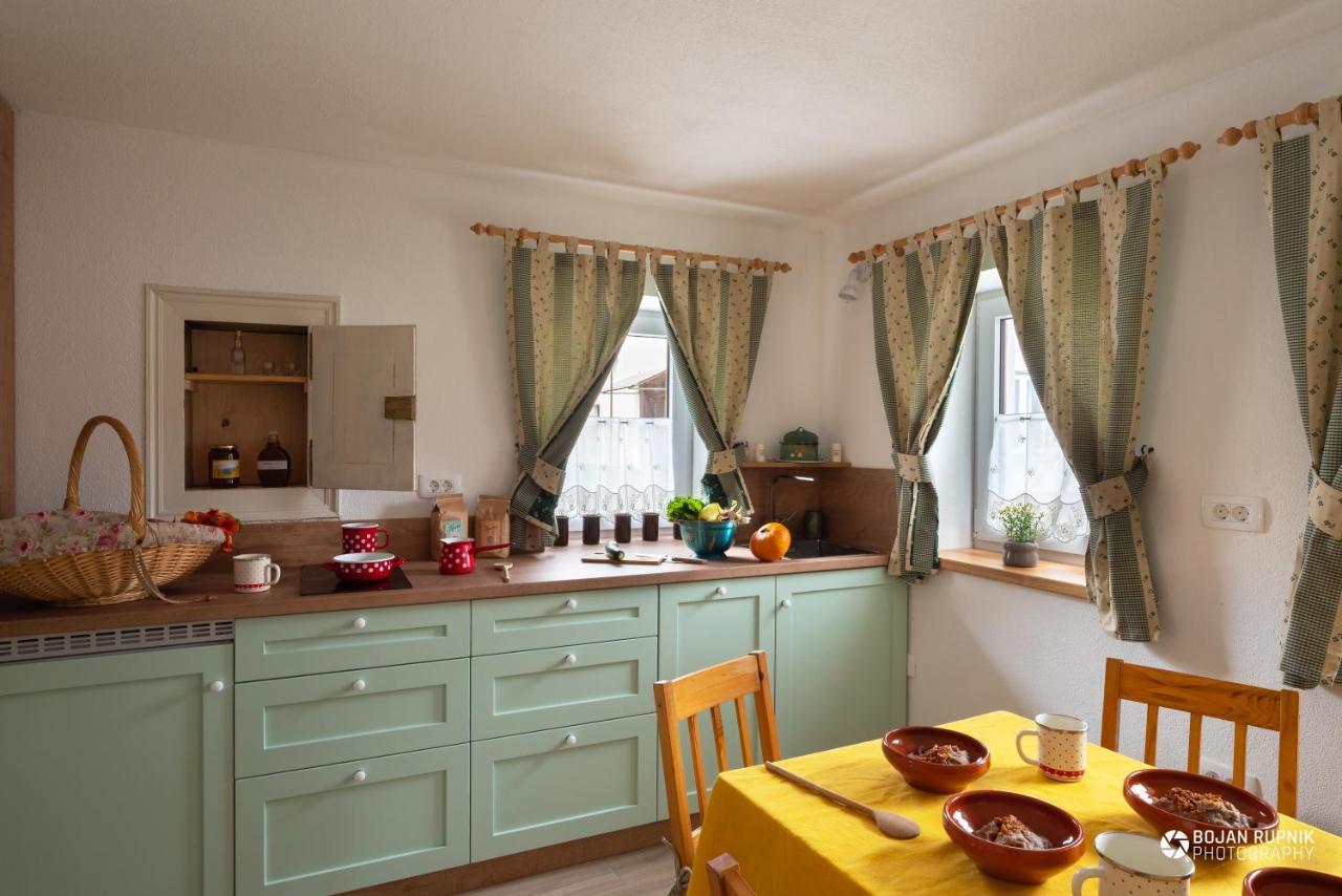 Cherry House - Cosy House - Ideal For Bear Watching, In The Neighborhood Of The Medieval Sneznik Castle Stari Trg pri Lozu Luaran gambar