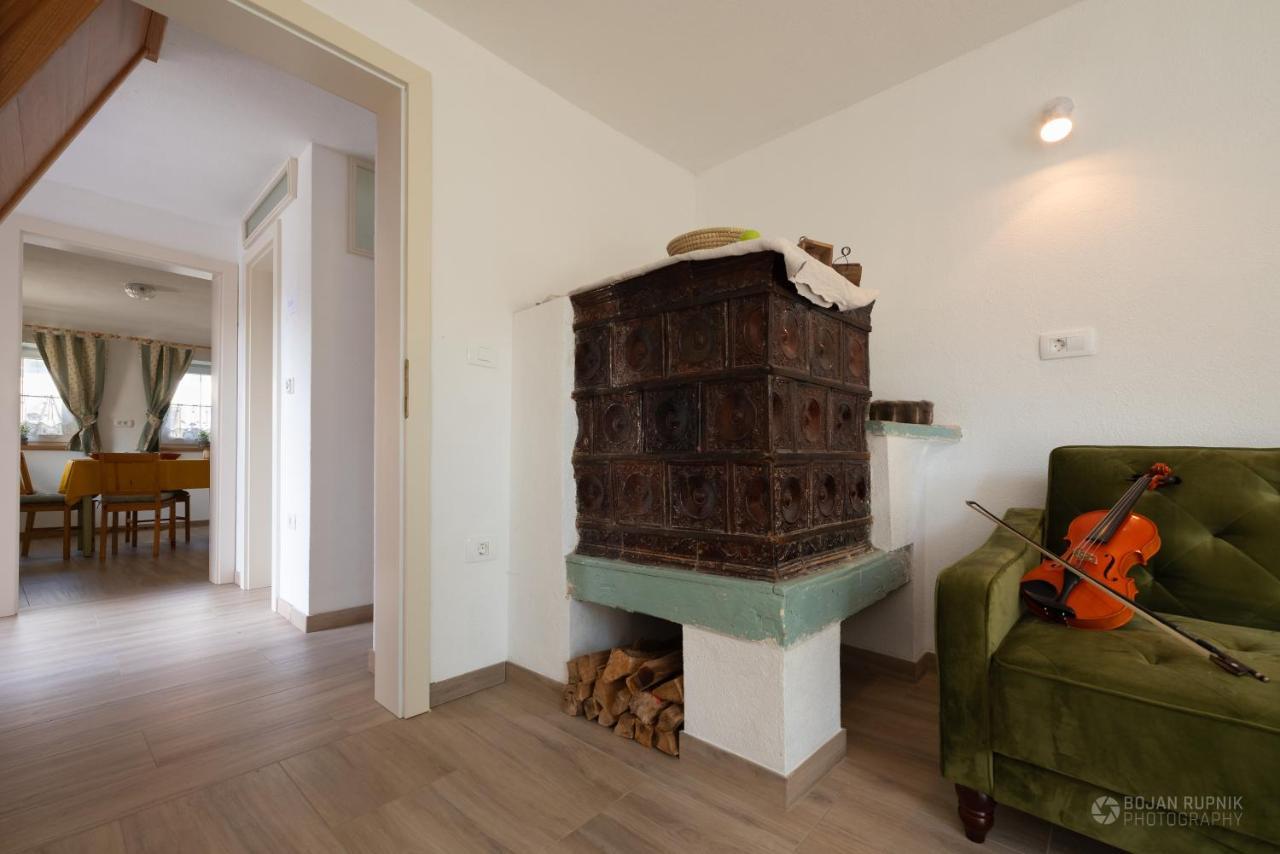 Cherry House - Cosy House - Ideal For Bear Watching, In The Neighborhood Of The Medieval Sneznik Castle Stari Trg pri Lozu Luaran gambar