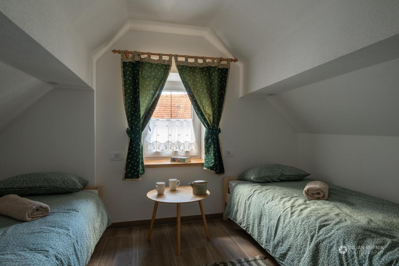 Cherry House - Cosy House - Ideal For Bear Watching, In The Neighborhood Of The Medieval Sneznik Castle Stari Trg pri Lozu Luaran gambar