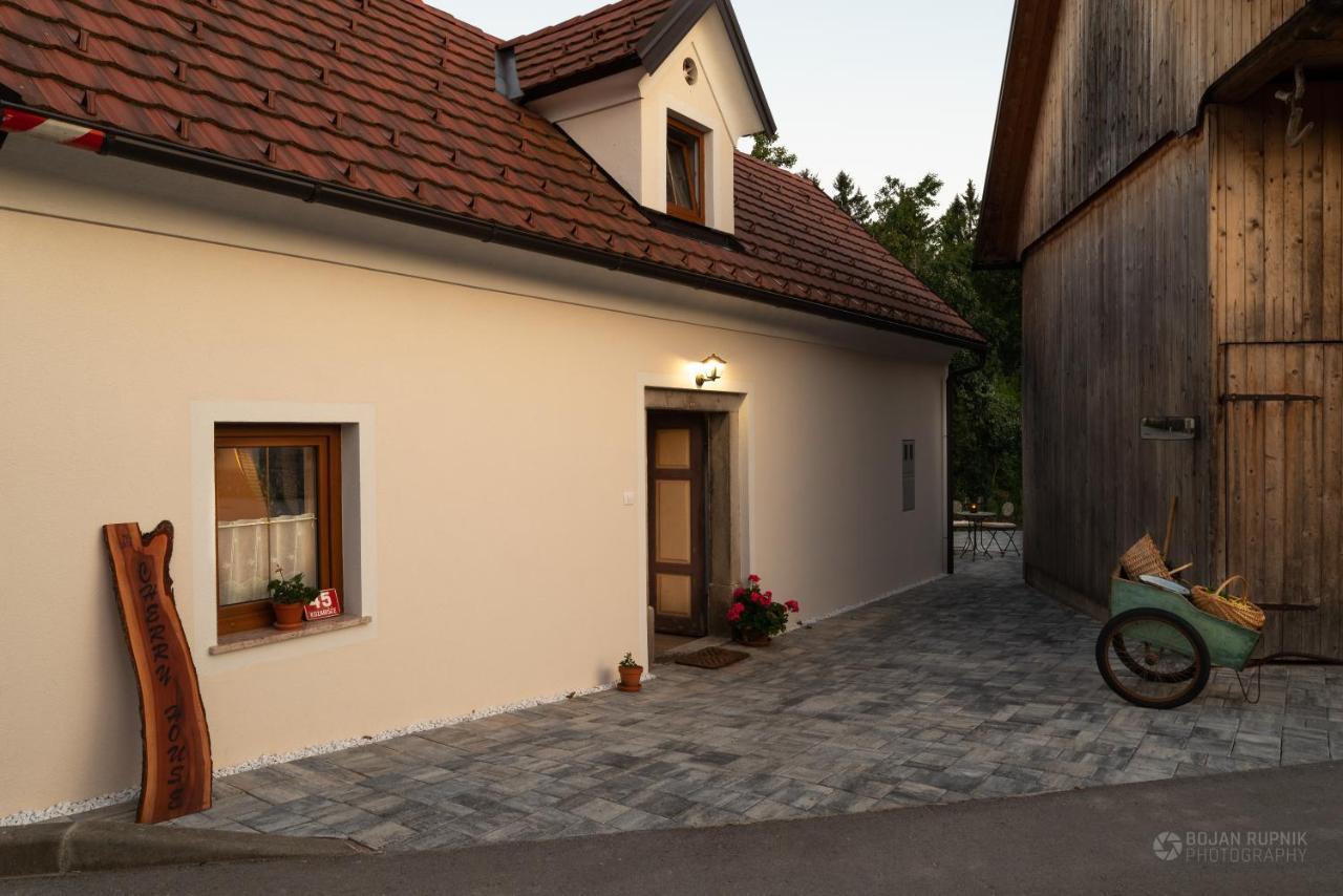 Cherry House - Cosy House - Ideal For Bear Watching, In The Neighborhood Of The Medieval Sneznik Castle Stari Trg pri Lozu Luaran gambar