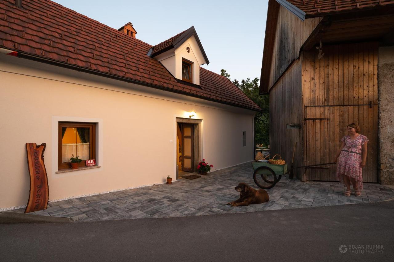 Cherry House - Cosy House - Ideal For Bear Watching, In The Neighborhood Of The Medieval Sneznik Castle Stari Trg pri Lozu Luaran gambar