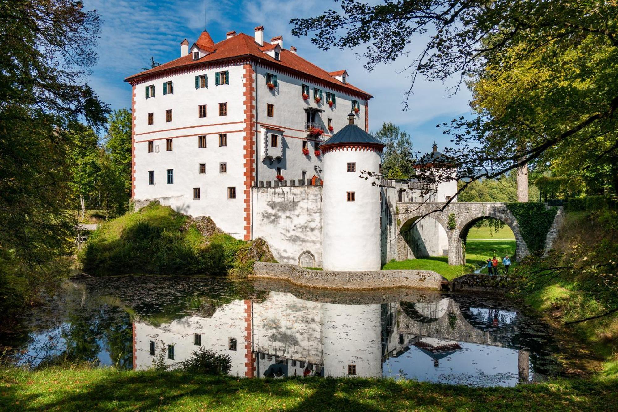 Cherry House - Cosy House - Ideal For Bear Watching, In The Neighborhood Of The Medieval Sneznik Castle Stari Trg pri Lozu Luaran gambar